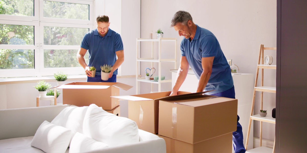 Classic Movers: Dubai's International Relocation Experts